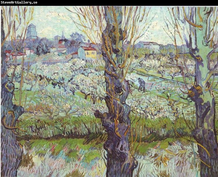 Vincent Van Gogh View of Arles